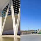 El Museu de les Ciències Príncipe Valencia Spanien - 3D Kreuzblick
