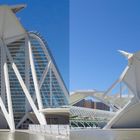 El Museu de les Ciències Príncipe Valencia Spanien - 3D Kreuzblick