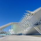 El Museu de les Ciències Príncipe Valencia Spanien