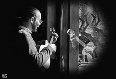 El musico en Bar Los Laureles