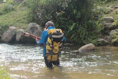 El Músico,Melodía para el Río. 