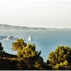 El Nessie de l'Estartit