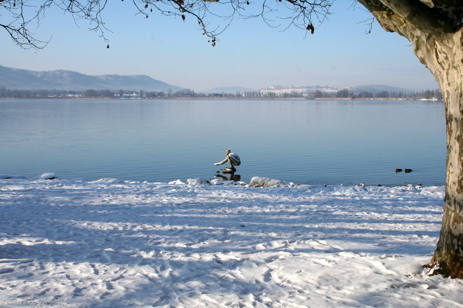 El Nino friert wieder