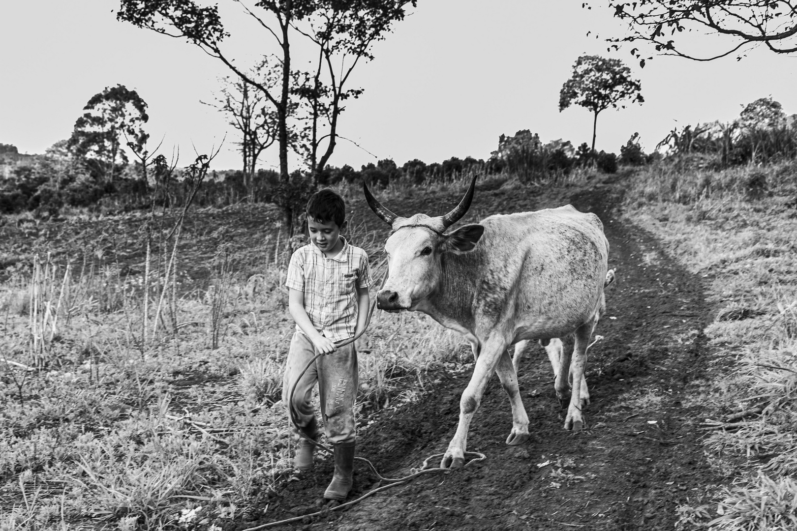 _El niño y su vaca