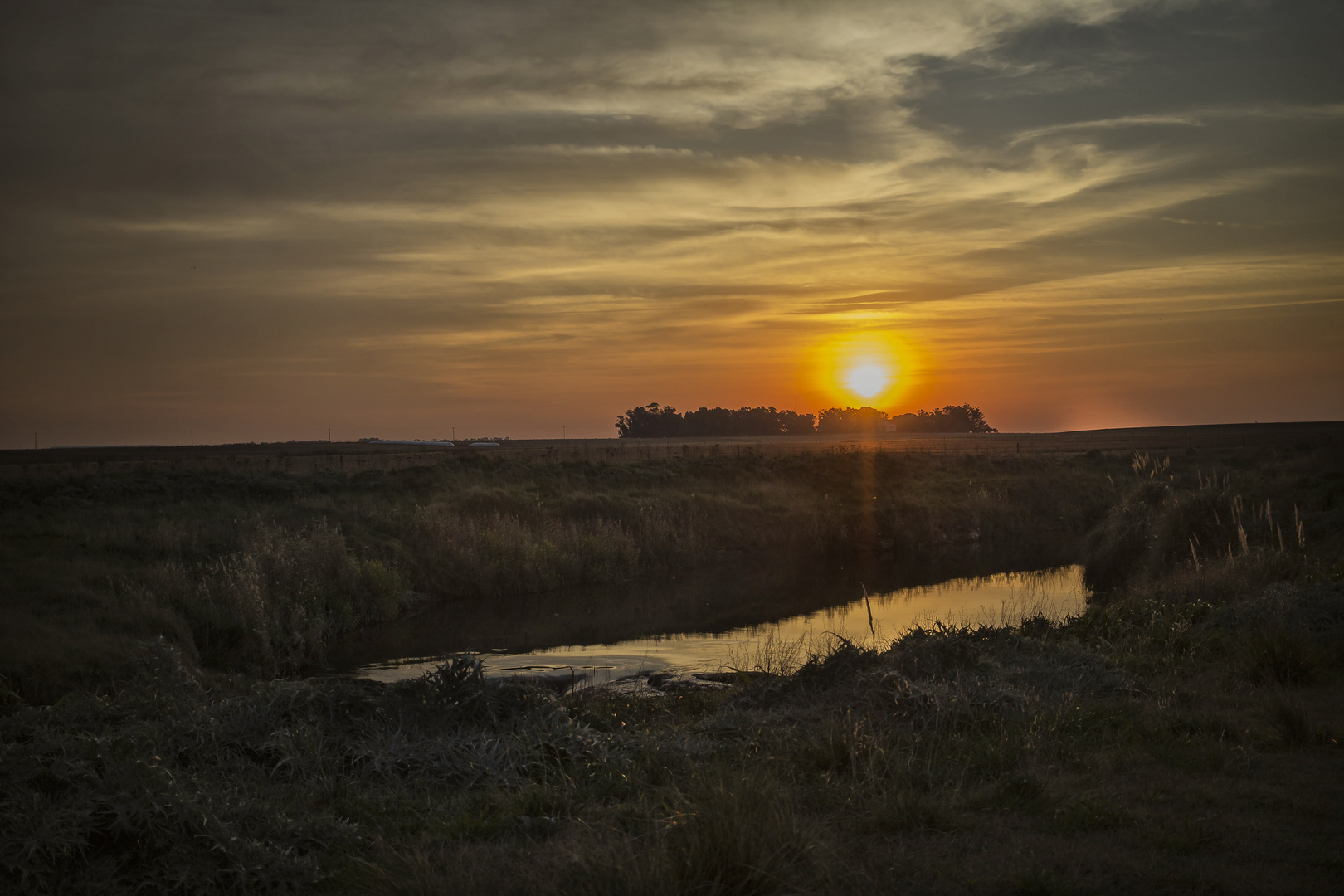 El ocaso en el campo