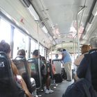 el omnibus