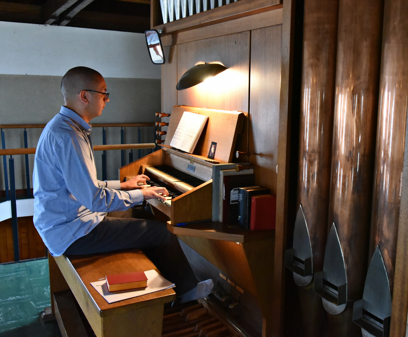 el organista 1