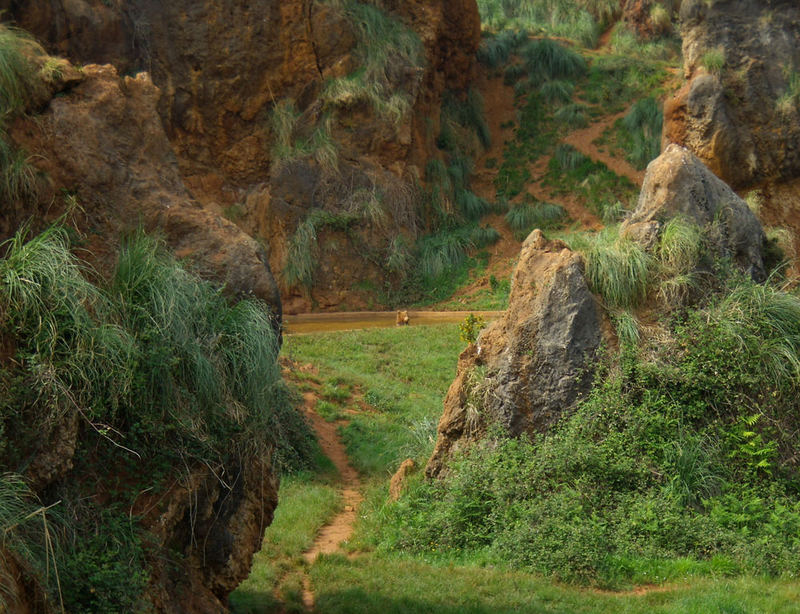 El Oso (Cabárceno-Cantabria)