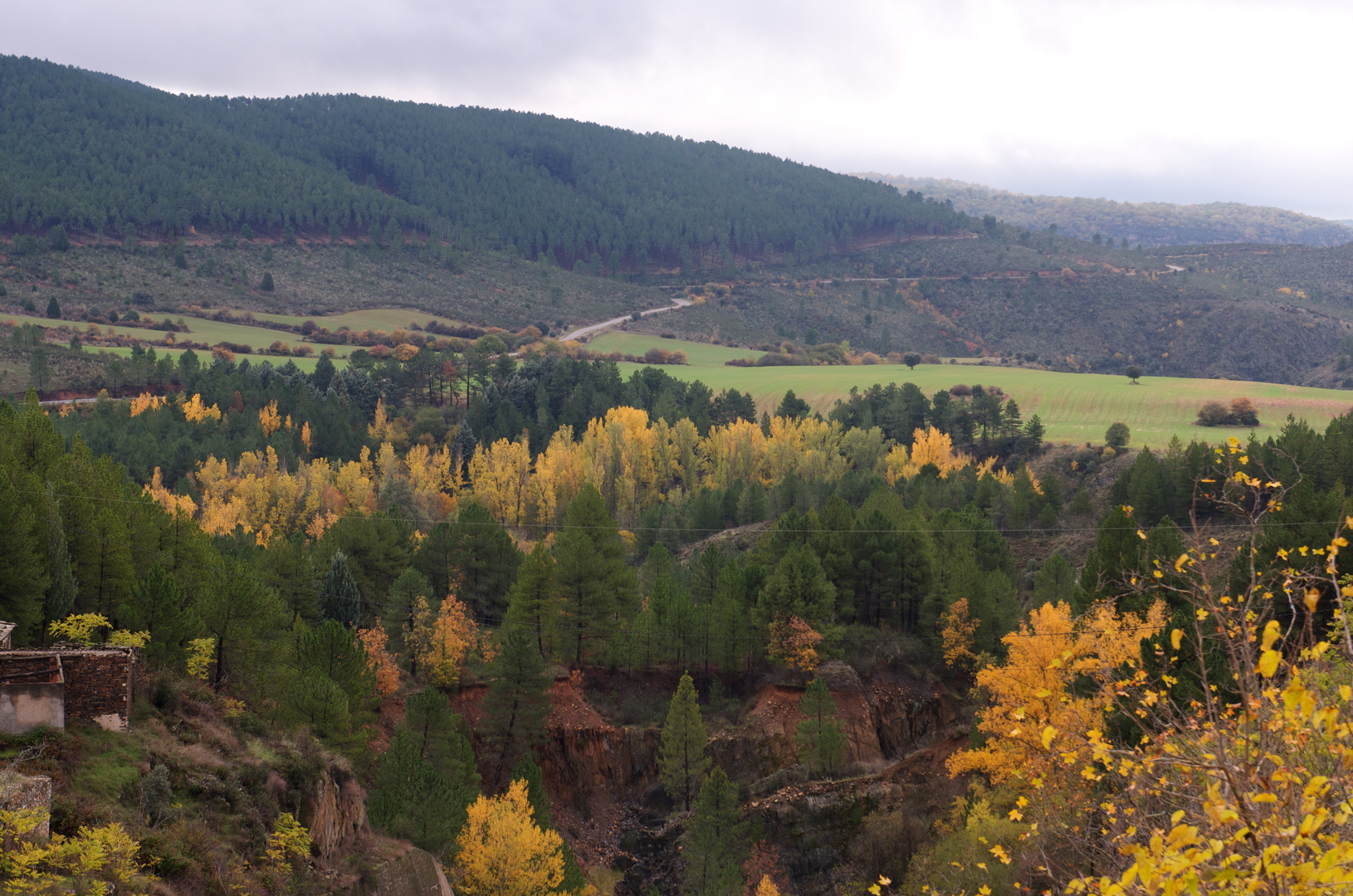 EL OTOÑO