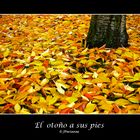 El otoño a sus pies