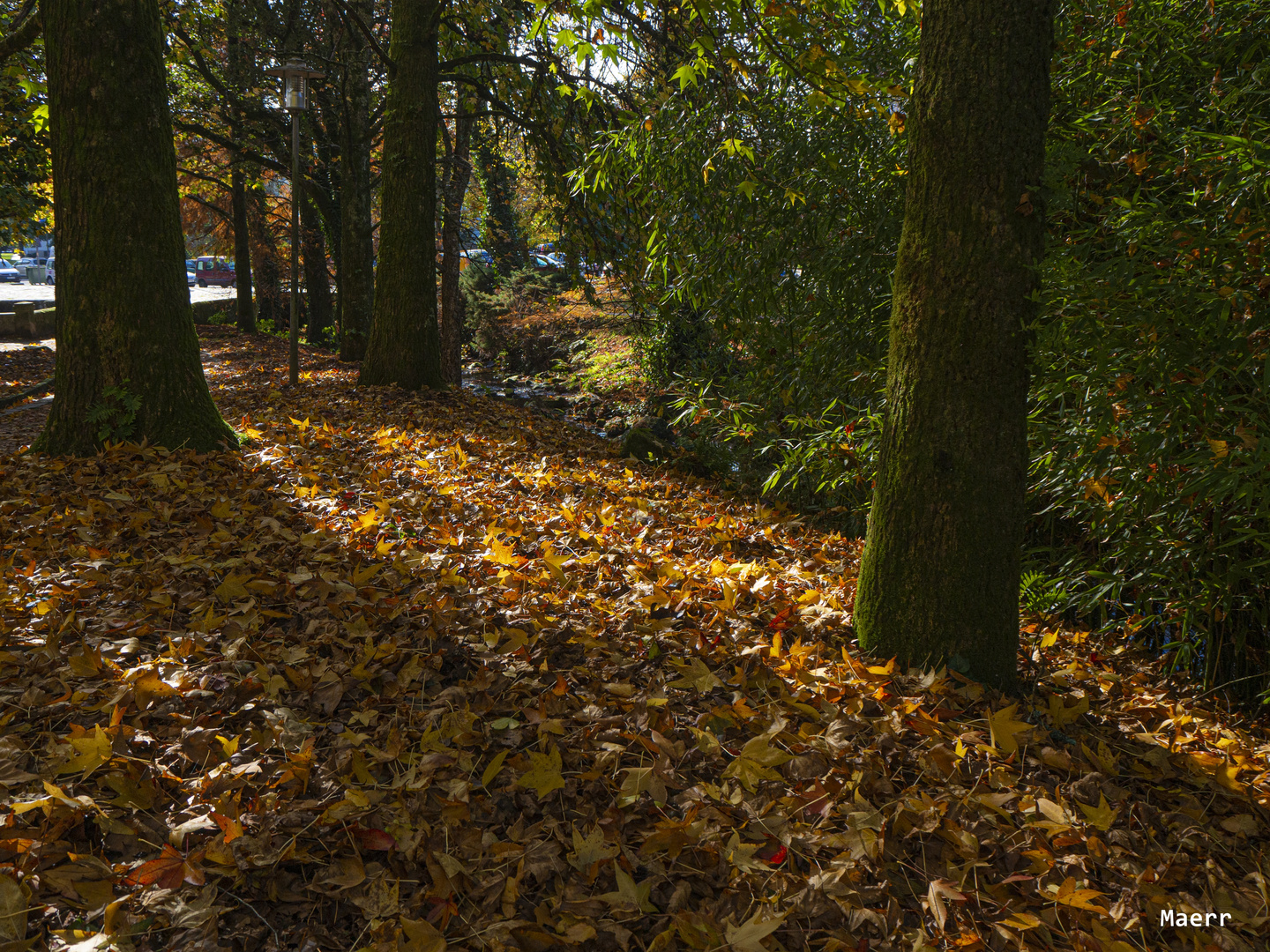 El Otoño