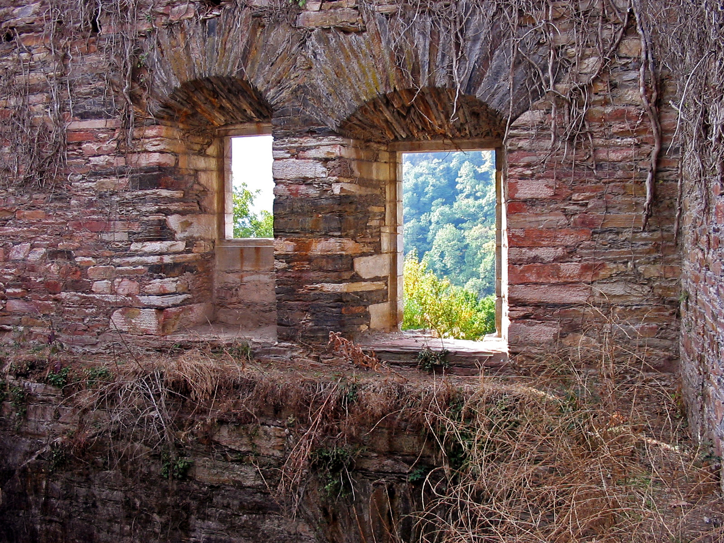 el otoño empieza tras la ventana