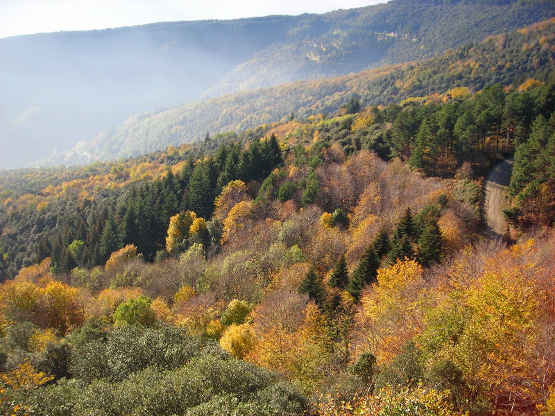 el otoño en el montseny