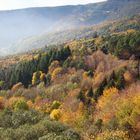 el otoño en el montseny