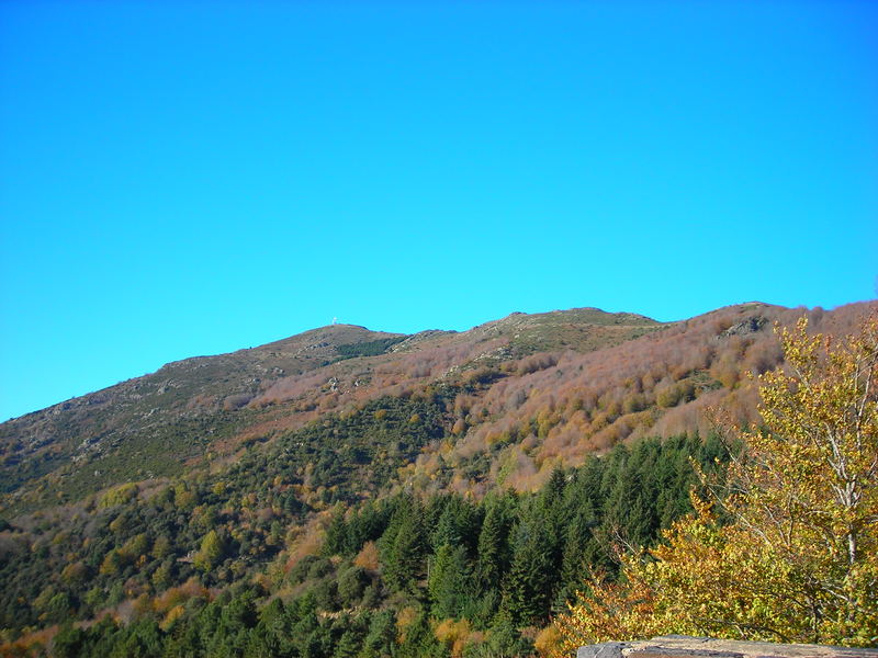 el otoño en el montseny