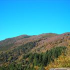 el otoño en el montseny