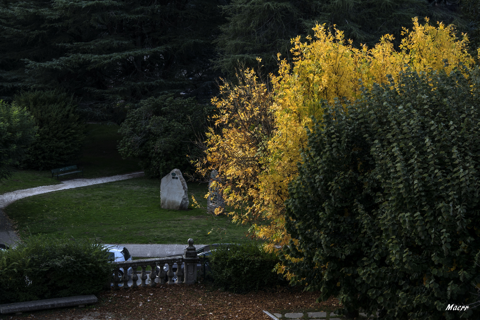 El Otoño en el parque