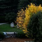 El Otoño en el parque