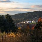 El otoño en El Parque de La Lameda de Santiago