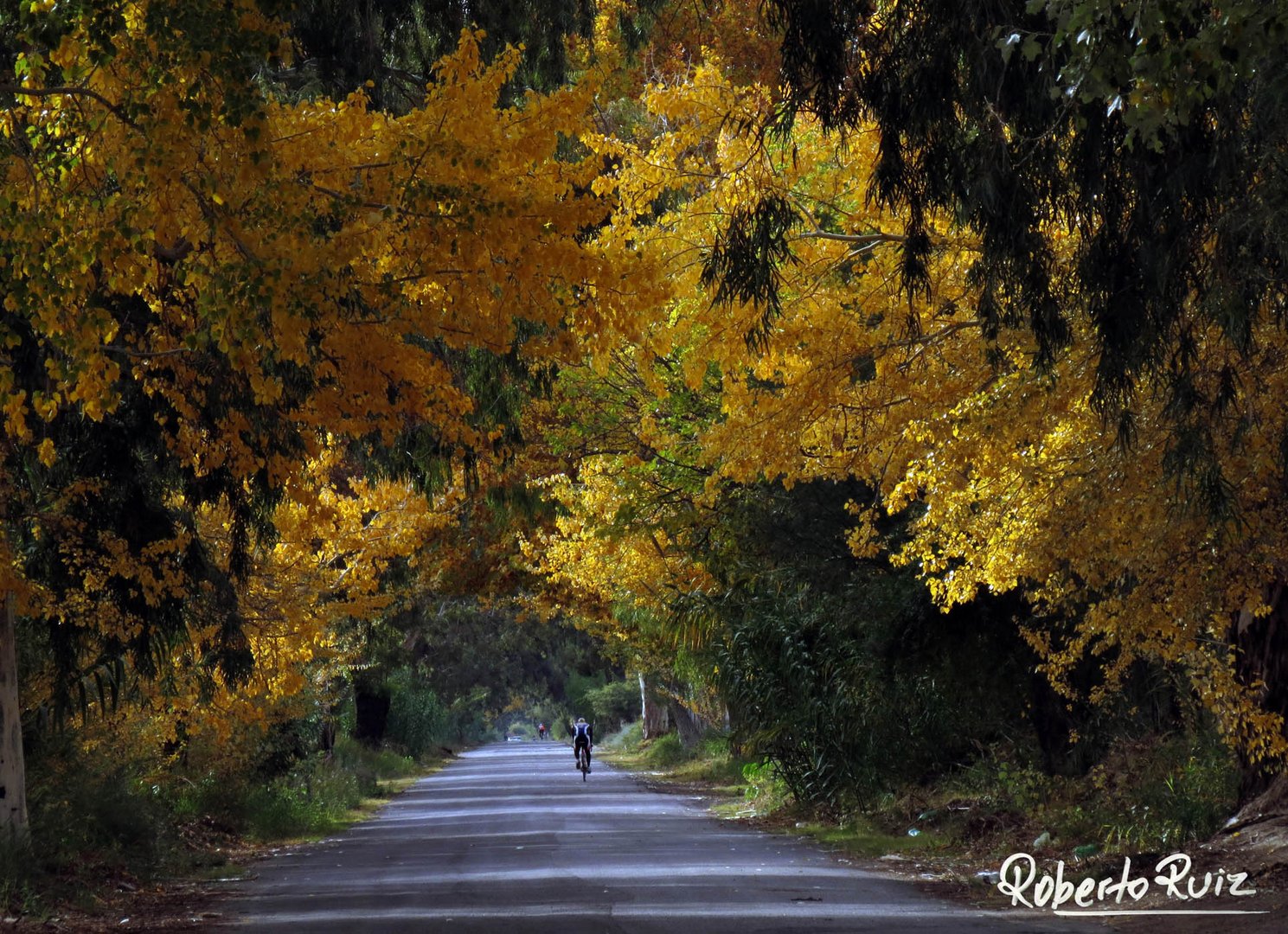 El Otoño en Zonda