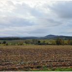 El otoño ha empezado (der Herbst hat begonnen)