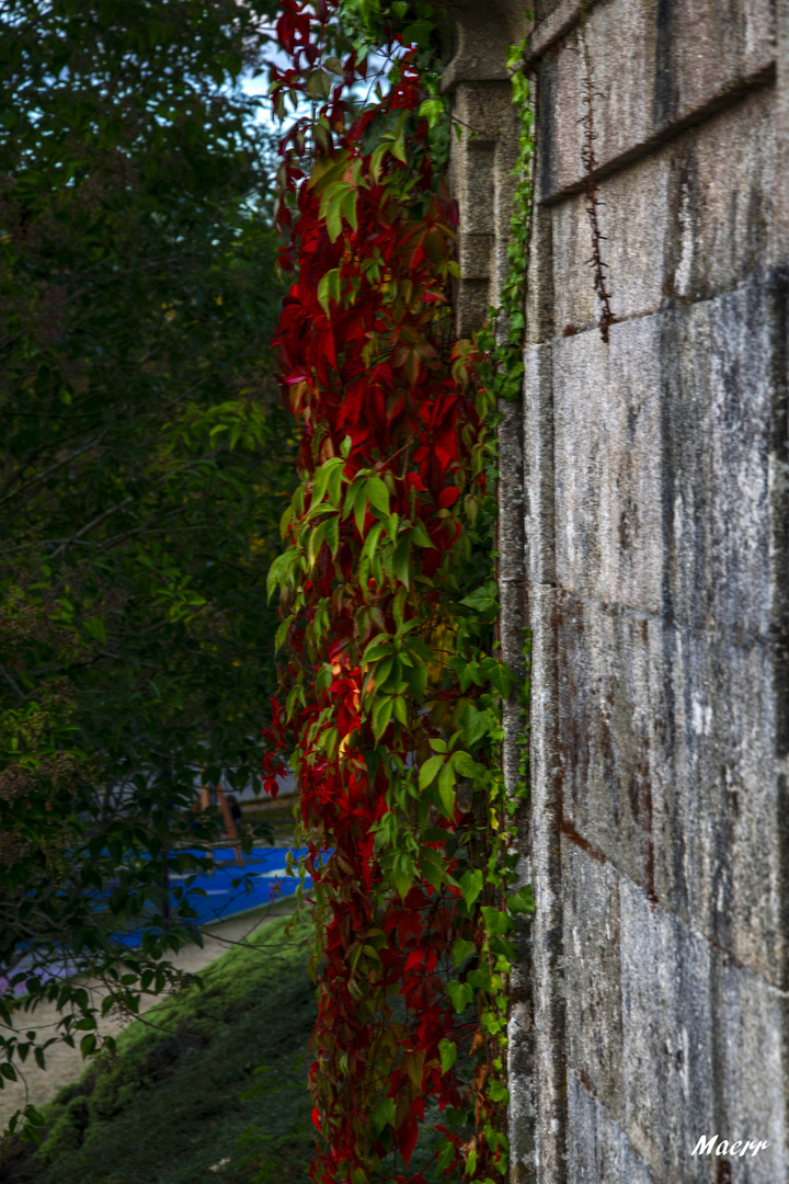 El Otoño ha llegado