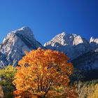 EL OTOÑO LLAMA A LA PUERTA