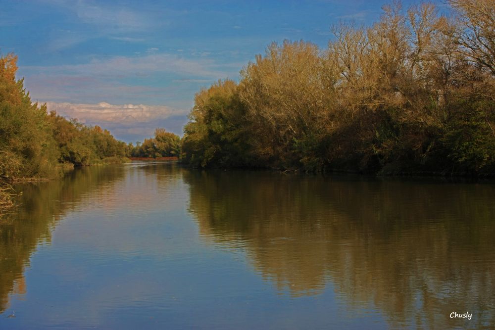 El otoño se mira en el rio