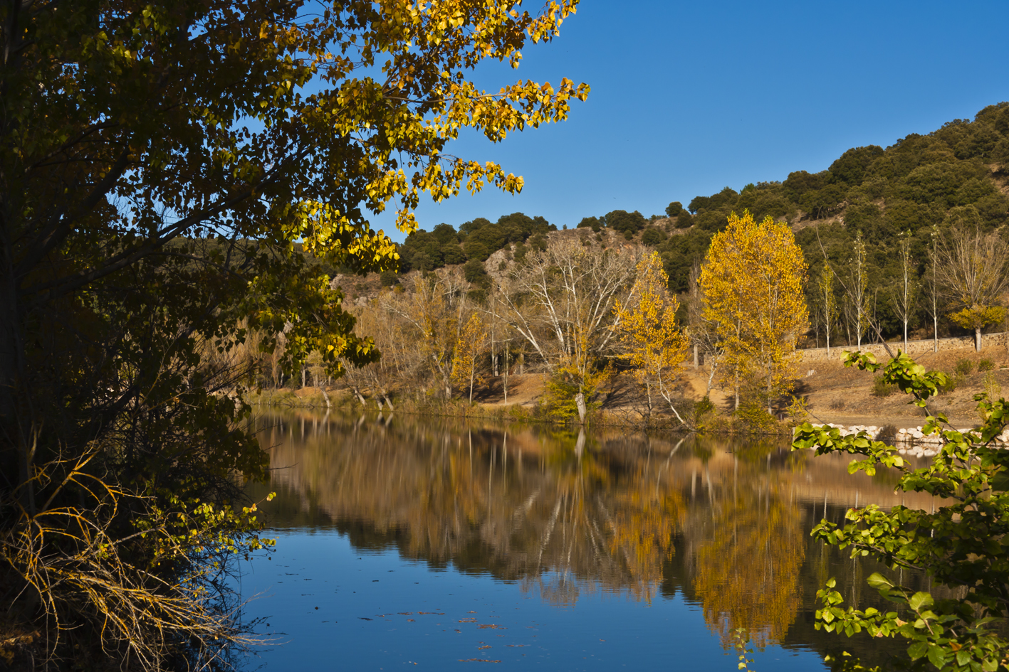 El otoño se peina en el Duero