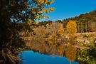 El otoño se peina en el Duero de jlmo 