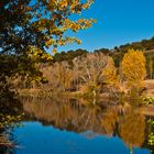 El otoño se peina en el Duero