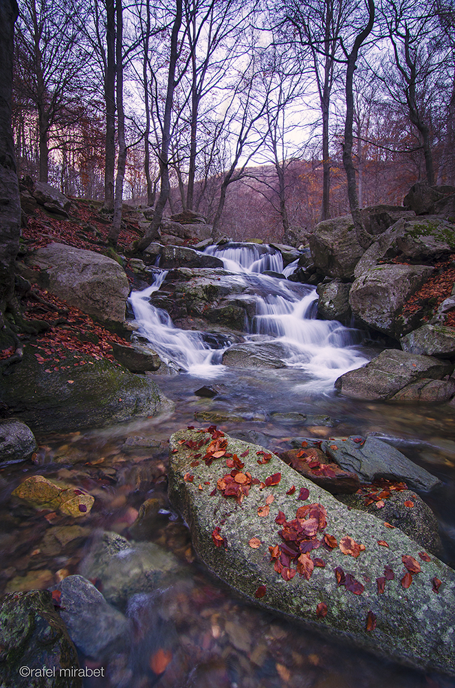 el otoño se va -the autumn is going-