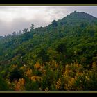 El otoño tambien llega a mi pueblo 2