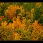 El otoño tambien llega a mi pueblo 4