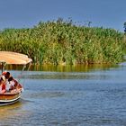 El Palmar Albufera