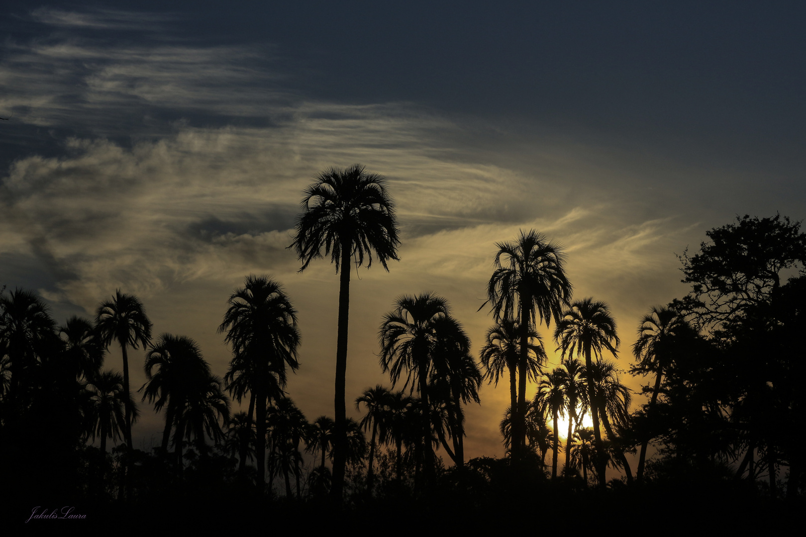 El Palmar - Entre Ríos - Argentina