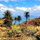 El Palmar - La Gomera