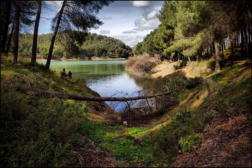 El pantano