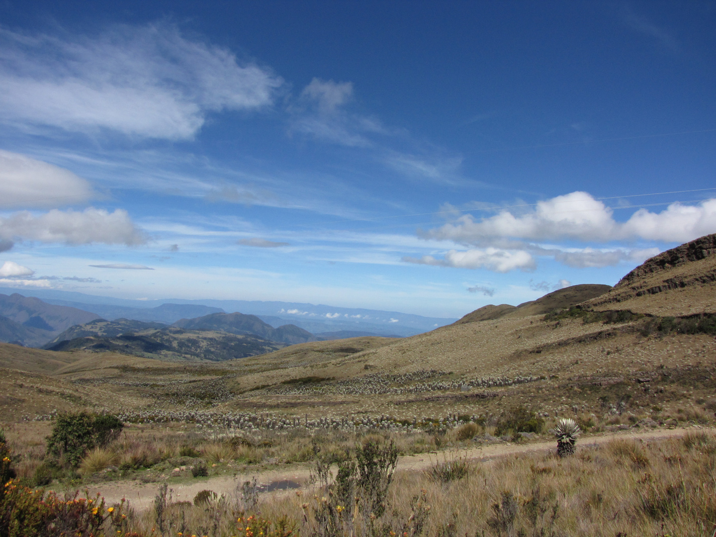 EL PARAMO EN EL TIEMPO