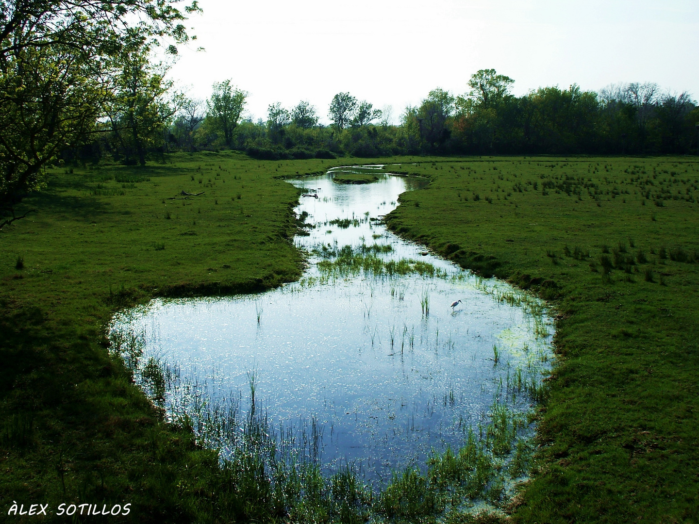 EL PARAÍSO