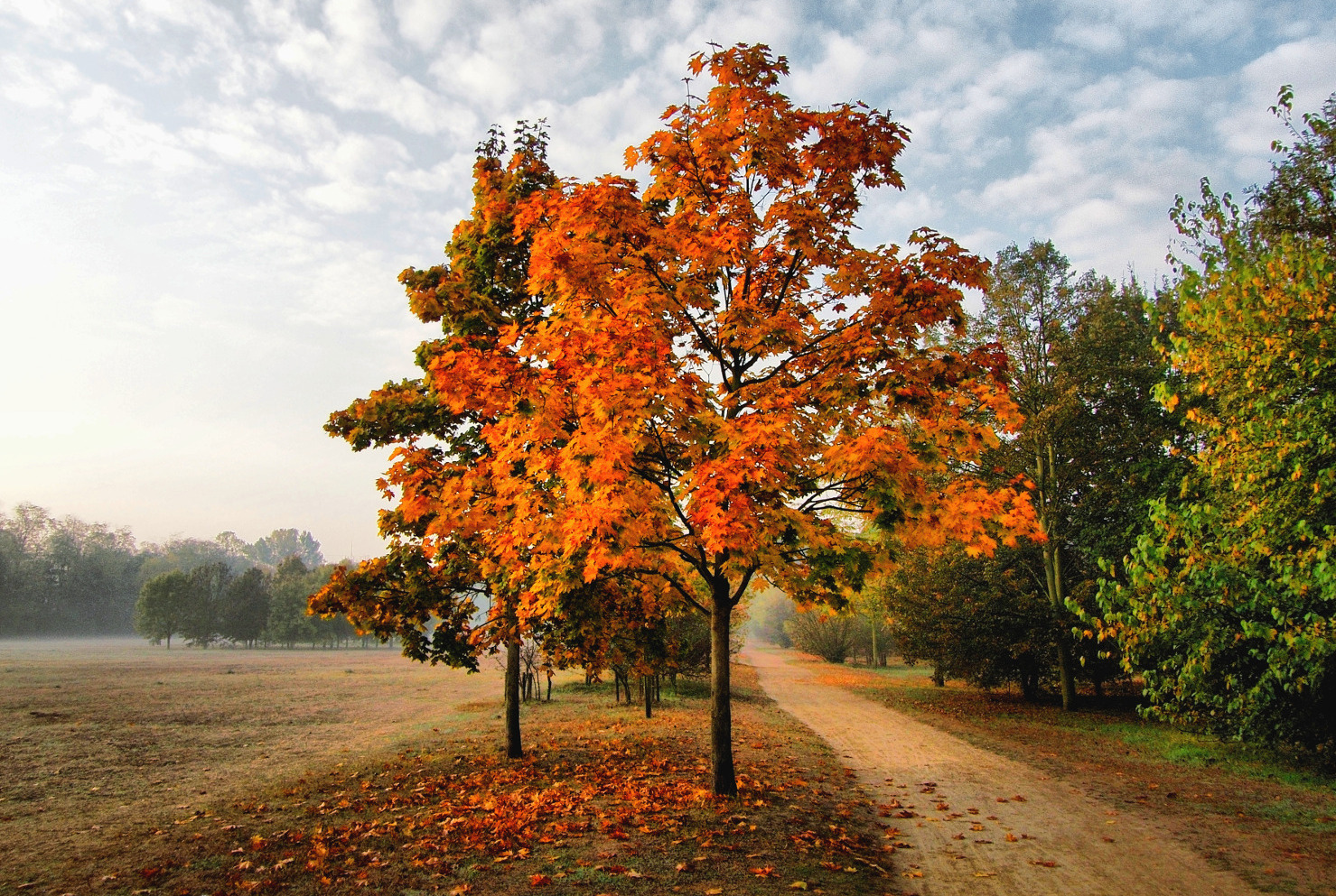 el parque