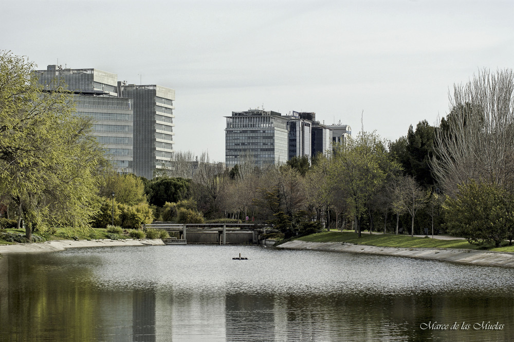 ...el parque de D. Enrique...