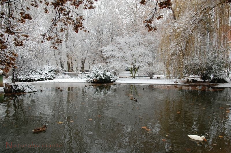 EL PARQUE