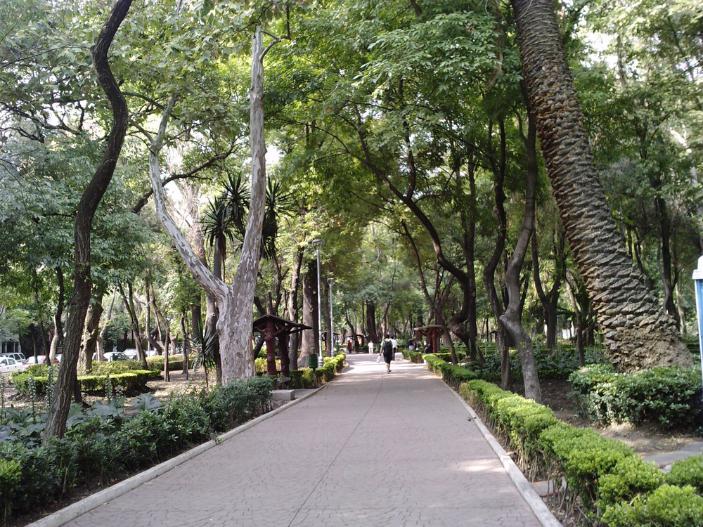 EL PARQUE