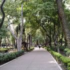 EL PARQUE