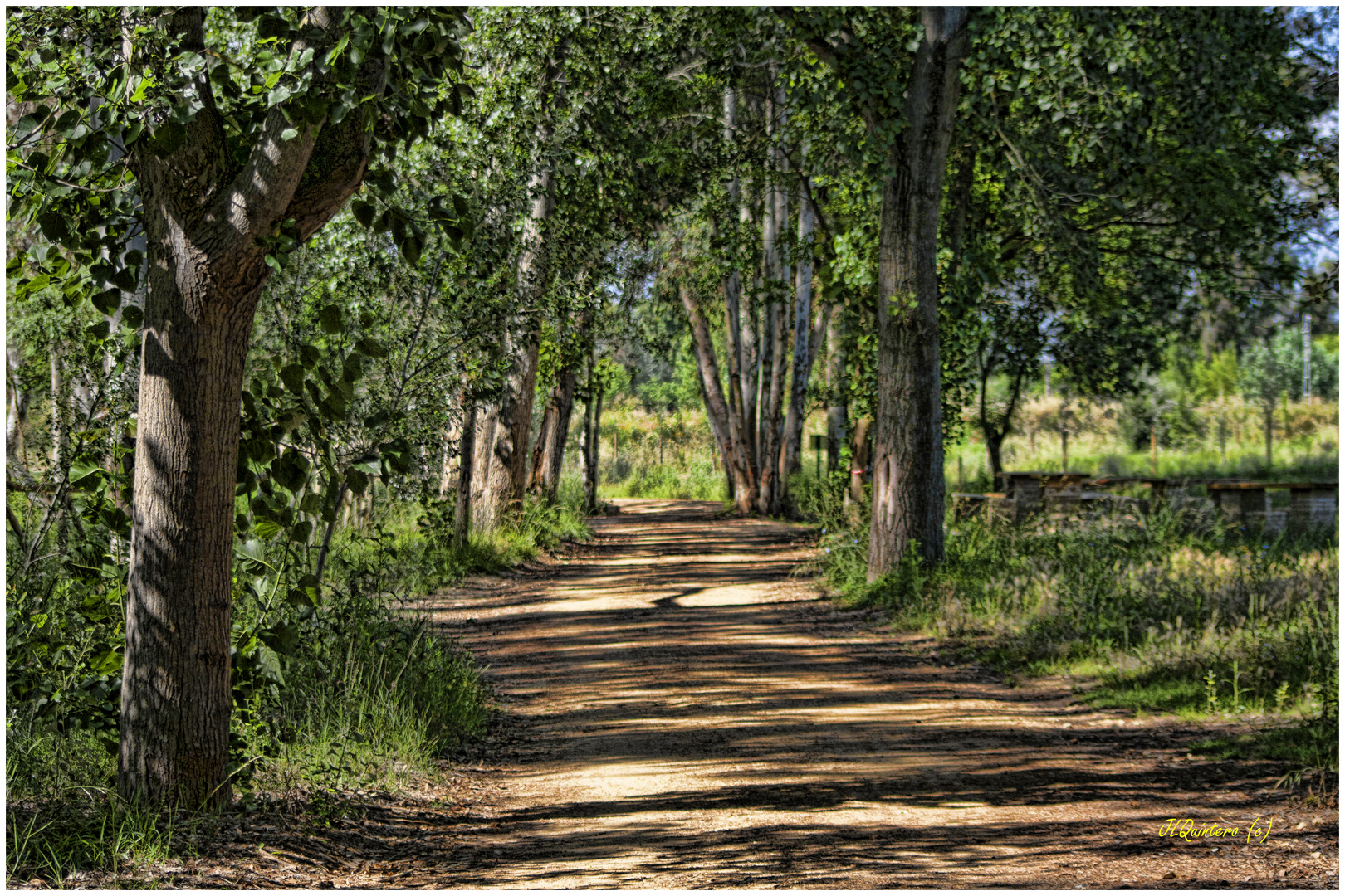 El paseo de las hadas