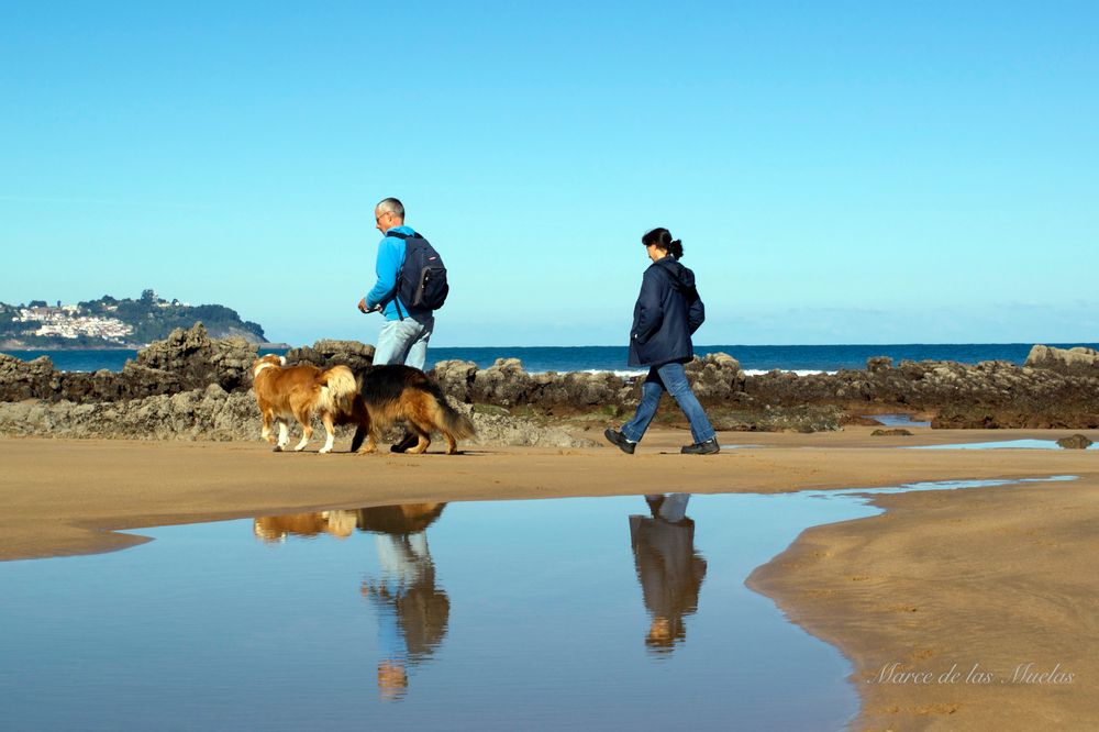 ...el paseo de los perros...