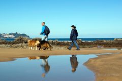 ...el paseo de los perros...