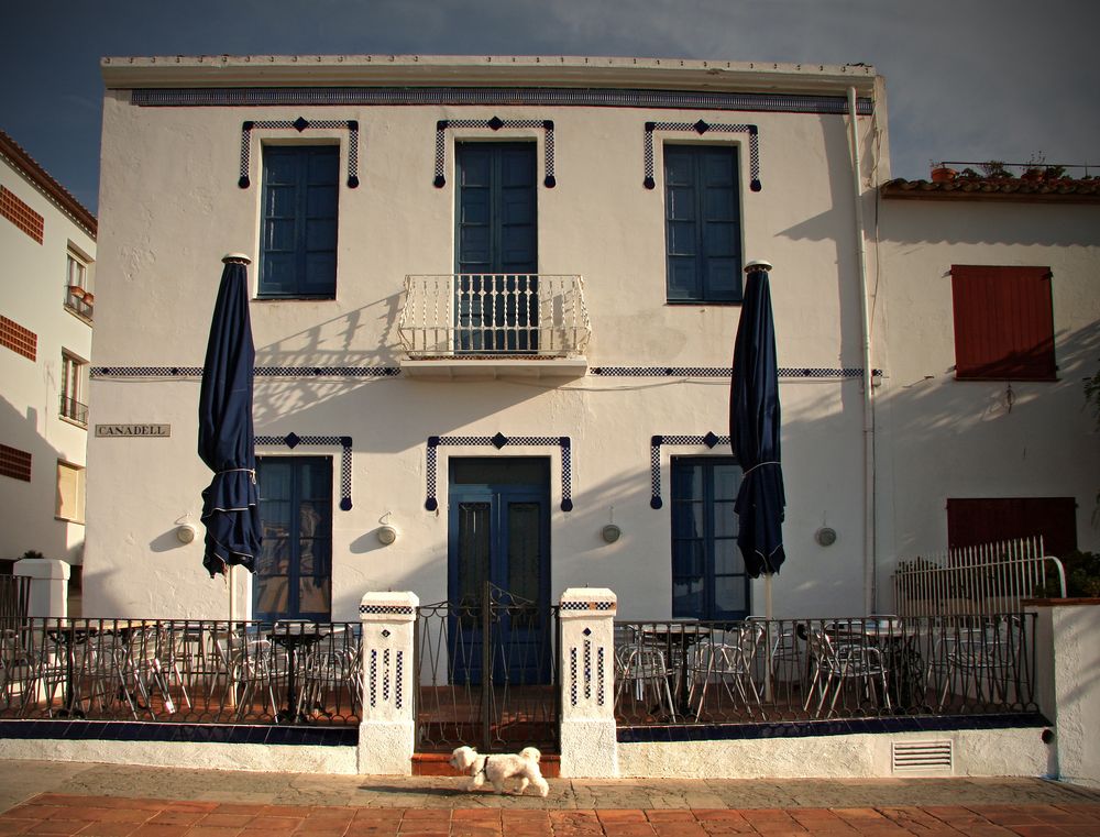 El passeig de cada matí