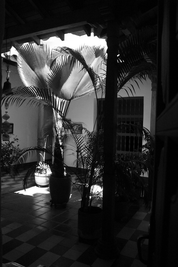 El patio 2